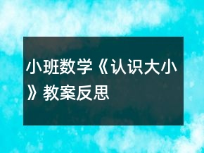 小班數(shù)學(xué)《認(rèn)識(shí)大小》教案反思