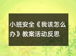 小班安全《我該怎么辦》教案活動反思