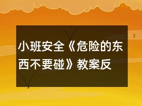 小班安全《危險的東西不要碰》教案反思