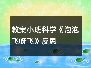 教案小班科學(xué)《泡泡飛呀飛》反思