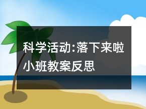 科學(xué)活動(dòng):落下來啦（小班教案）反思