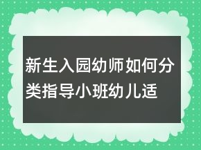 新生入園幼師如何分類指導(dǎo)小班幼兒適應(yīng)新環(huán)境？