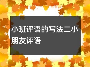 小班評(píng)語的寫法二小朋友評(píng)語