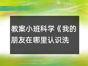 教案小班科學(xué)《我的朋友在哪里（認(rèn)識(shí)洗滌用品）》反思