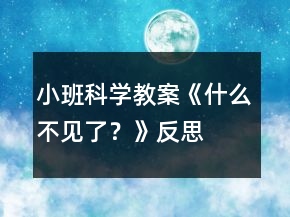 小班科學(xué)教案《什么不見(jiàn)了？》反思