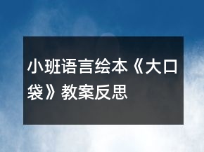 小班語言繪本《大口袋》教案反思
