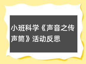 小班科學(xué)《聲音之傳聲筒》活動(dòng)反思