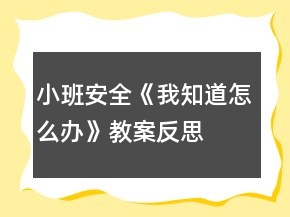 小班安全《我知道怎么辦》教案反思