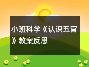 小班科學(xué)《認(rèn)識(shí)五官》教案反思