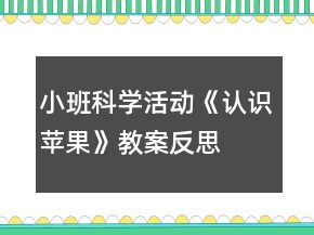 小班科學活動《認識蘋果》教案反思