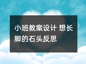 小班教案設(shè)計 想長腳的石頭反思