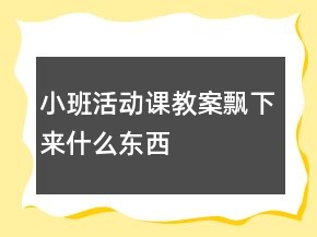 小班活動(dòng)課教案：飄下來(lái)什么東西