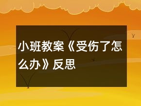 小班教案《受傷了怎么辦》反思