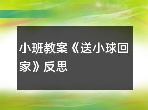 小班教案《送小球回家》反思