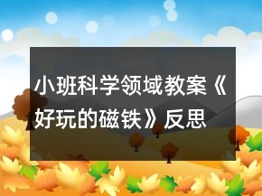 小班科學領域教案《好玩的磁鐵》反思