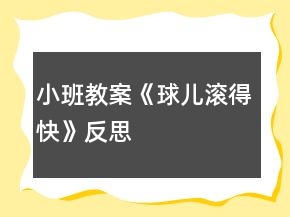 小班教案《球兒滾得快》反思