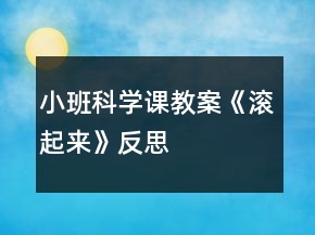 小班科學課教案《滾起來》反思