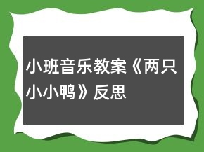小班音樂教案《兩只小小鴨》反思