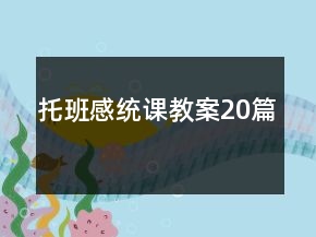 托班感統(tǒng)課教案20篇