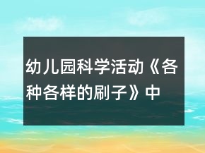幼兒園科學(xué)活動(dòng)《各種各樣的刷子》中班教案反思