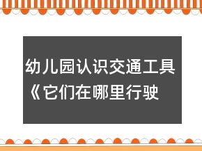 幼兒園認(rèn)識(shí)交通工具《它們?cè)谀睦镄旭偂沸“嗫茖W(xué)教案特征分類反思