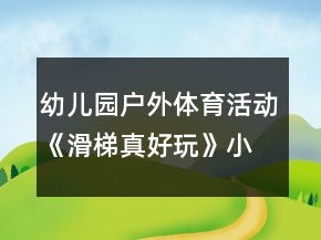 幼兒園戶外體育活動(dòng)《滑梯真好玩》小班活動(dòng)方案反思