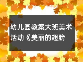 幼兒園教案大班美術(shù)活動《美麗的翅膀》反思