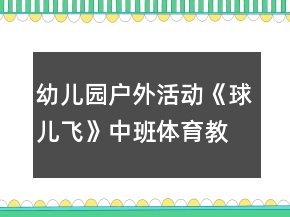 幼兒園戶外活動(dòng)《球兒飛》中班體育教案