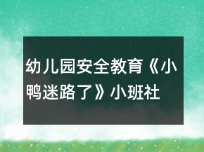 幼兒園安全教育《小鴨迷路了》小班社會安全教案反思
