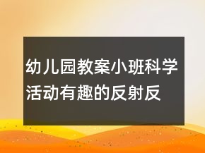 幼兒園教案小班科學(xué)活動：有趣的反射反思