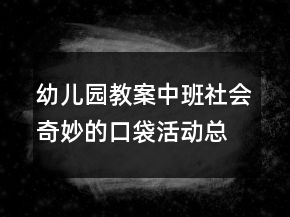 幼兒園教案中班社會(huì)：奇妙的口袋活動(dòng)總結(jié)