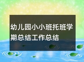 幼兒園小小班托班學(xué)期總結(jié)工作總結(jié)