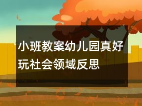 小班教案：幼兒園真好玩社會領域反思