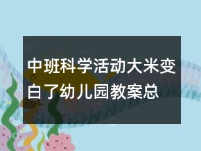 中班科學(xué)活動：大米變白了幼兒園教案總結(jié)