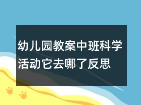 幼兒園教案中班科學(xué)活動(dòng)：它去哪了反思