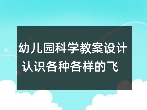 幼兒園科學(xué)教案設(shè)計(jì) 認(rèn)識(shí)各種各樣的飛機(jī)反思