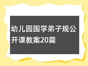 幼兒園國(guó)學(xué)弟子規(guī)公開(kāi)課教案20篇