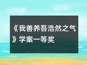《我善養(yǎng)吾浩然之氣》學(xué)案一等獎