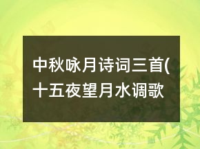 中秋詠月詩(shī)詞三首(十五夜望月,水調(diào)歌頭明月幾時(shí)有,我的思念是圓的)課堂實(shí)錄一等獎(jiǎng)