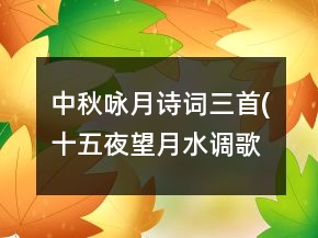 中秋詠月詩(shī)詞三首(十五夜望月,水調(diào)歌頭明月幾時(shí)有,我的思念是圓的)教學(xué)實(shí)錄一等獎(jiǎng)