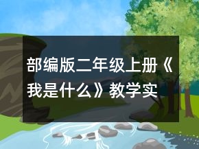 部編版二年級上冊《我是什么》教學(xué)實(shí)錄一等獎