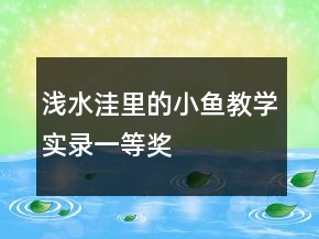 淺水洼里的小魚教學(xué)實錄一等獎