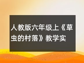 人教版六年級上《草蟲的村落》教學(xué)實(shí)錄兩課時(shí)一等獎
