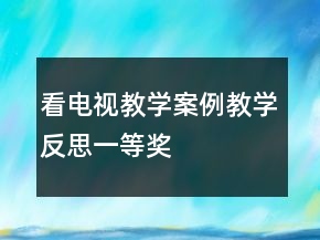 看電視教學(xué)案例教學(xué)反思一等獎