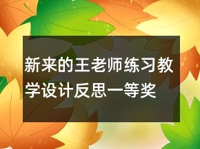 新來的王老師練習教學設計反思一等獎