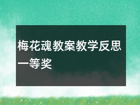梅花魂教案教學(xué)反思一等獎(jiǎng)