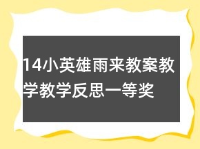 14小英雄雨來教案教學(xué)教學(xué)反思一等獎