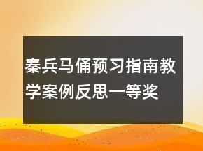 秦兵馬俑預(yù)習(xí)指南教學(xué)案例反思一等獎(jiǎng)