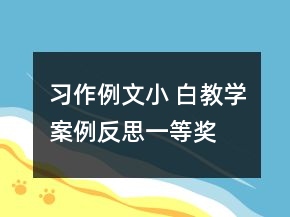 習作例文：小 白教學案例反思一等獎