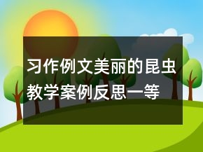 習(xí)作例文：美麗的昆蟲教學(xué)案例反思一等獎(jiǎng)